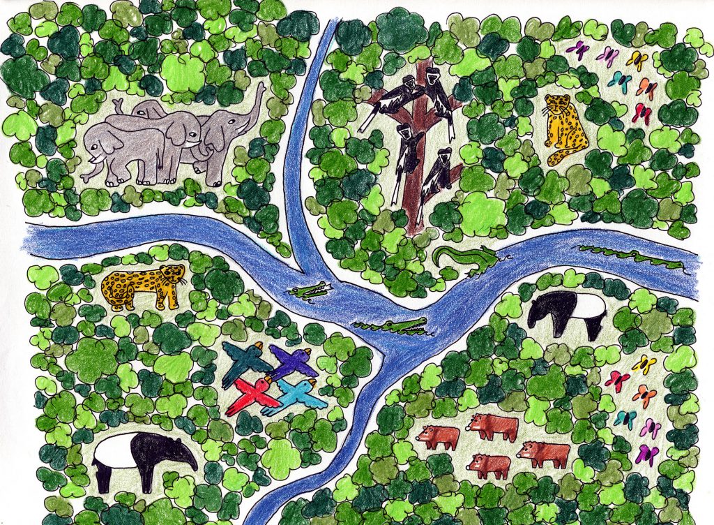 Child's drawing of forest full of animals including jaguars, elephants, and butterflies